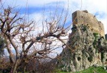 North Lebanon & Cedars Tour